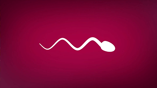 11.gif