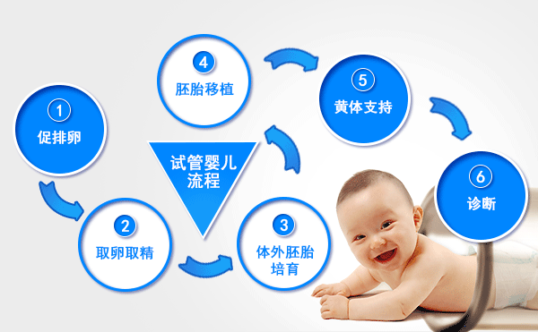 流程1.gif