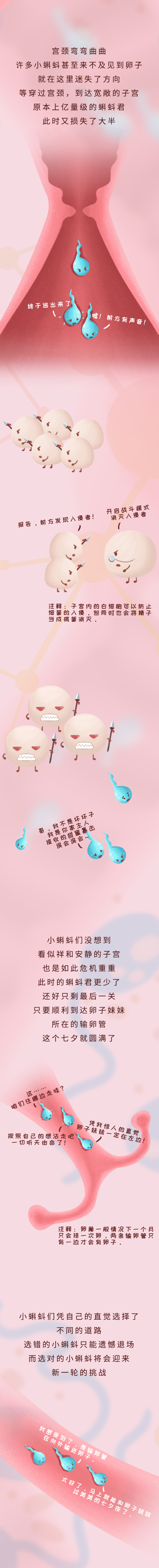七夕条漫_03.jpg
