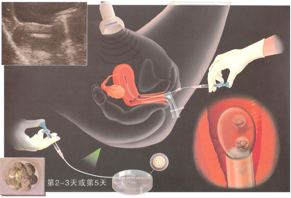 图片5.jpg
