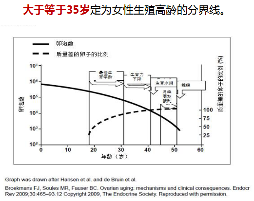 高龄生育.png